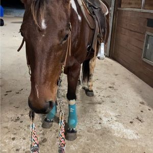 Meet your Posher, Grace